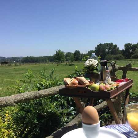 B&B Belvedere Brakel Exteriör bild